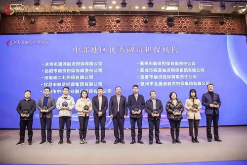 喜报 永州市潇湘融资担保公司荣获 2020年度中部地区优秀融资担保机构 称号