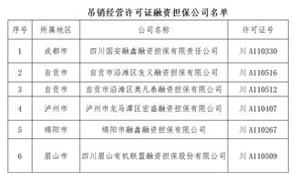 四川吊销6家融资担保公司经营许可证 9家公司被责令停业整顿