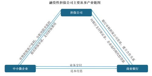 中国融资性担保行业发展趋势分析与投资前景预测报告 2022 2029年