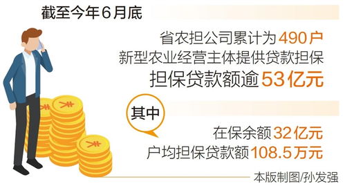 上半年新增担保贷款额约16.5亿元