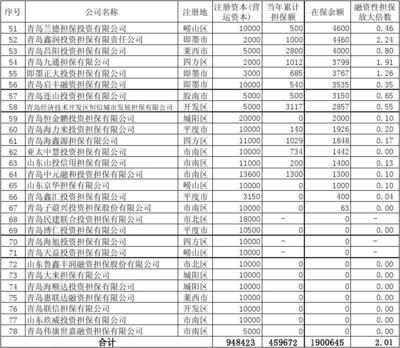 青岛市融资性担保机构客户名单