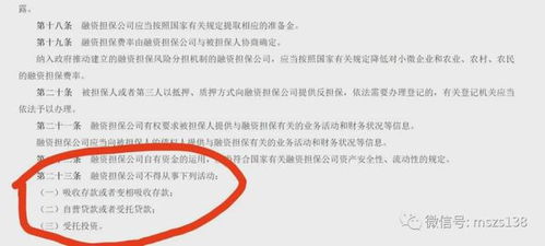 违规经营发放贷款却仍胜诉,湖南省文旅融资担保公司牛气从何而来